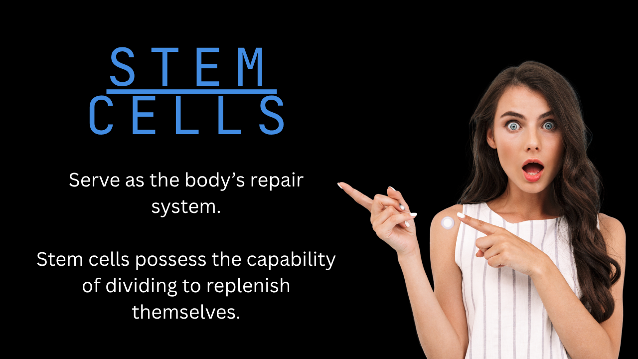 What are stem cell patches