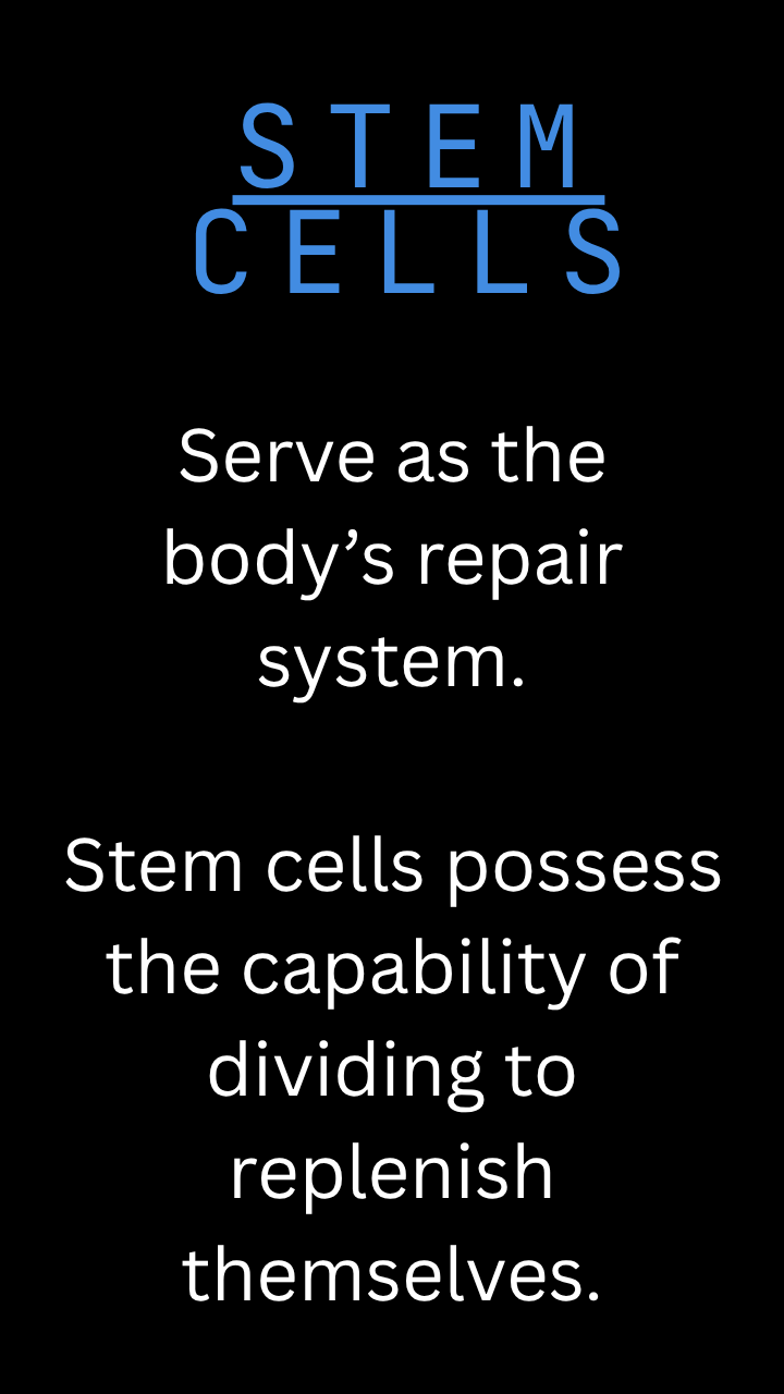 What are stem cells mobile