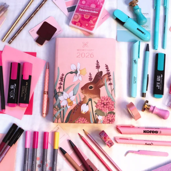 Diaries-2026-post-24