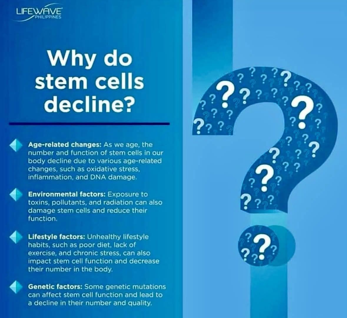 Why do stem cells decline