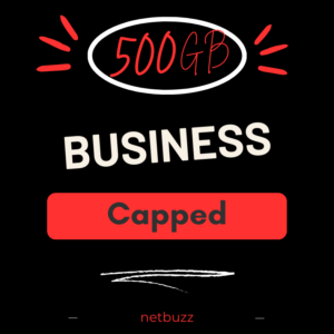LTE Business Capped 500