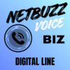 Netbuzz Voice Biz